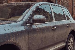 Ošklivá auta bývají paradoxně nejlepší koupí. Většina lidí to ale nechce slyšet - Médium.cz